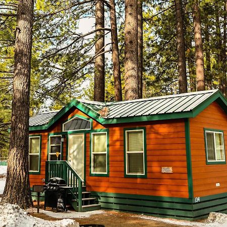 سووث لاك تاهوي Tahoe Valley Cottage 2 المظهر الخارجي الصورة