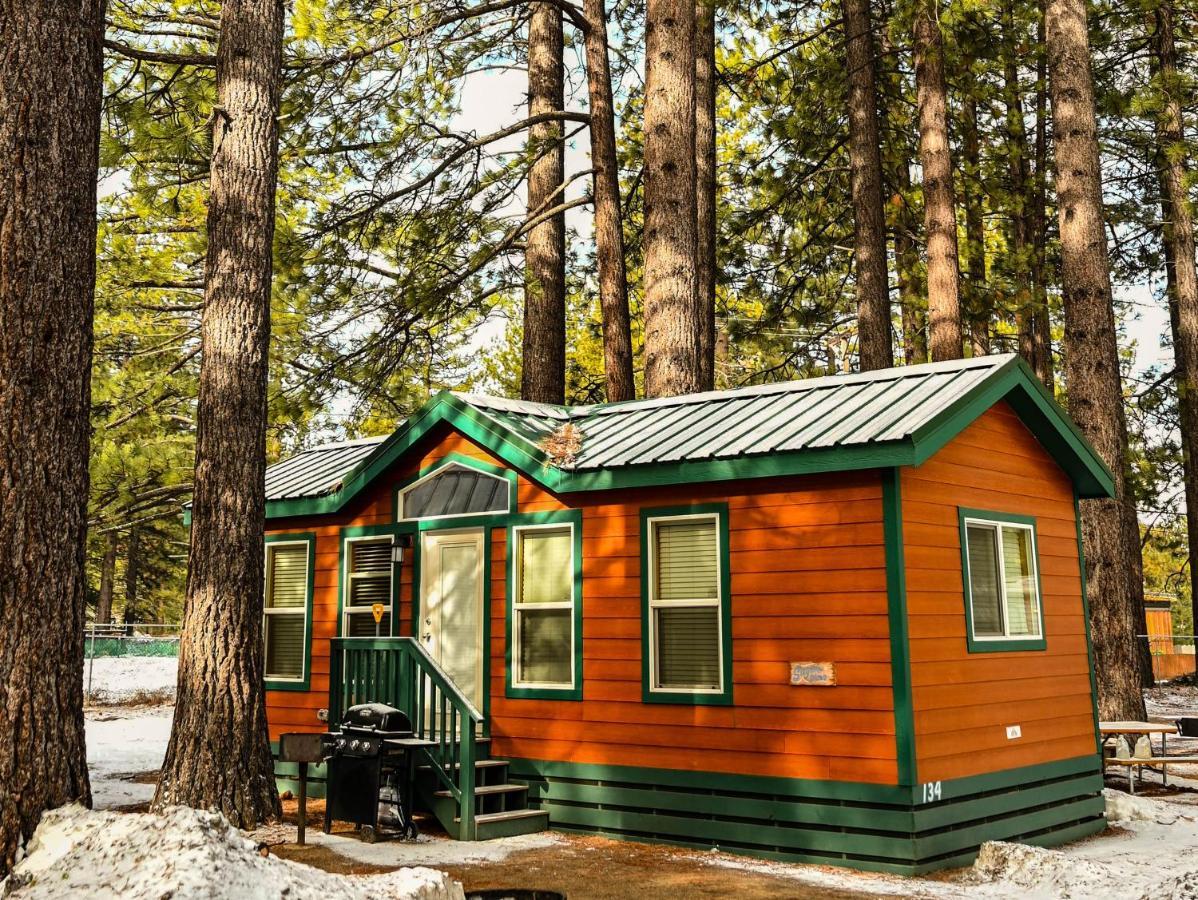 سووث لاك تاهوي Tahoe Valley Cottage 2 المظهر الخارجي الصورة