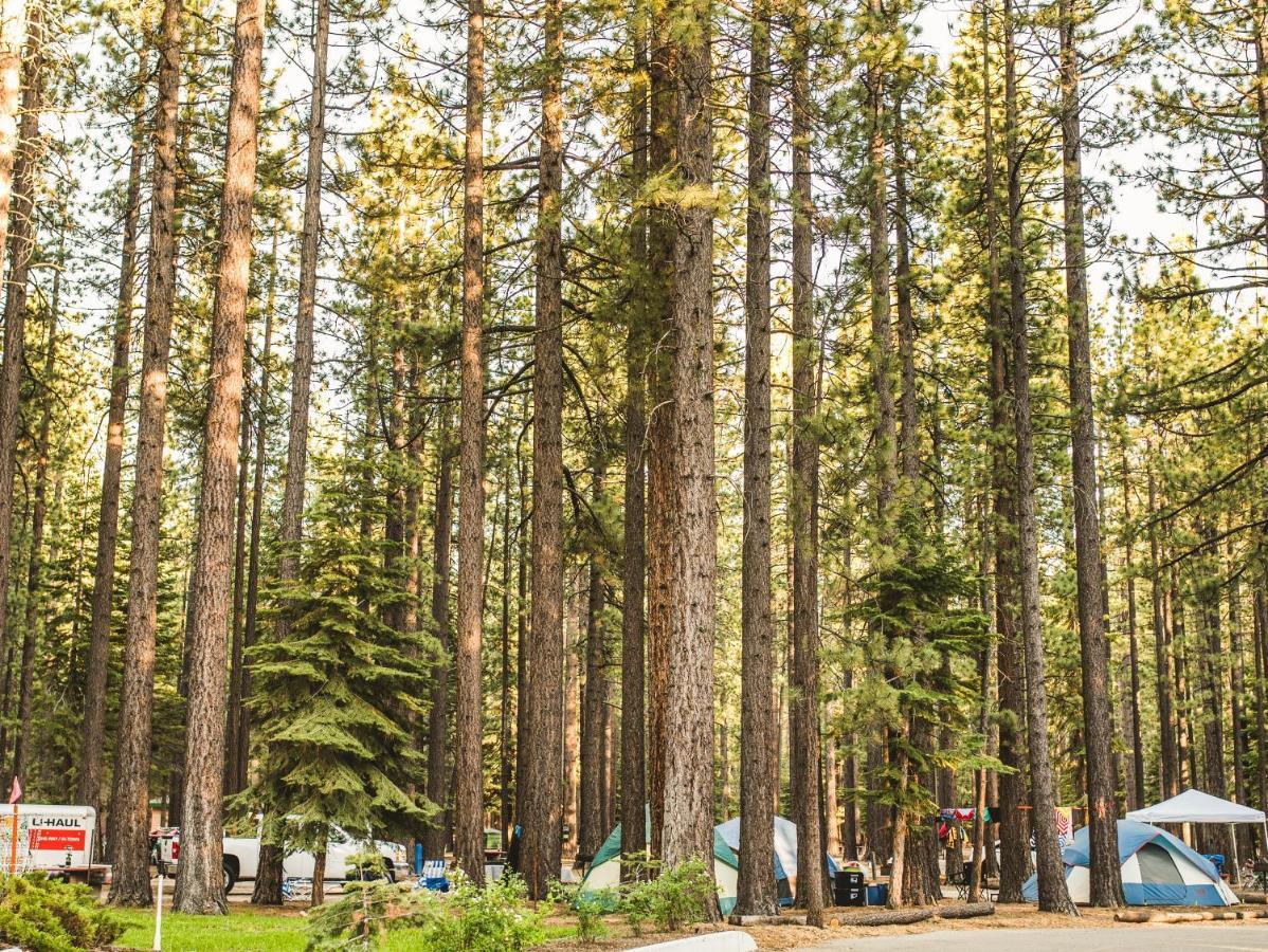 سووث لاك تاهوي Tahoe Valley Cottage 2 المظهر الخارجي الصورة